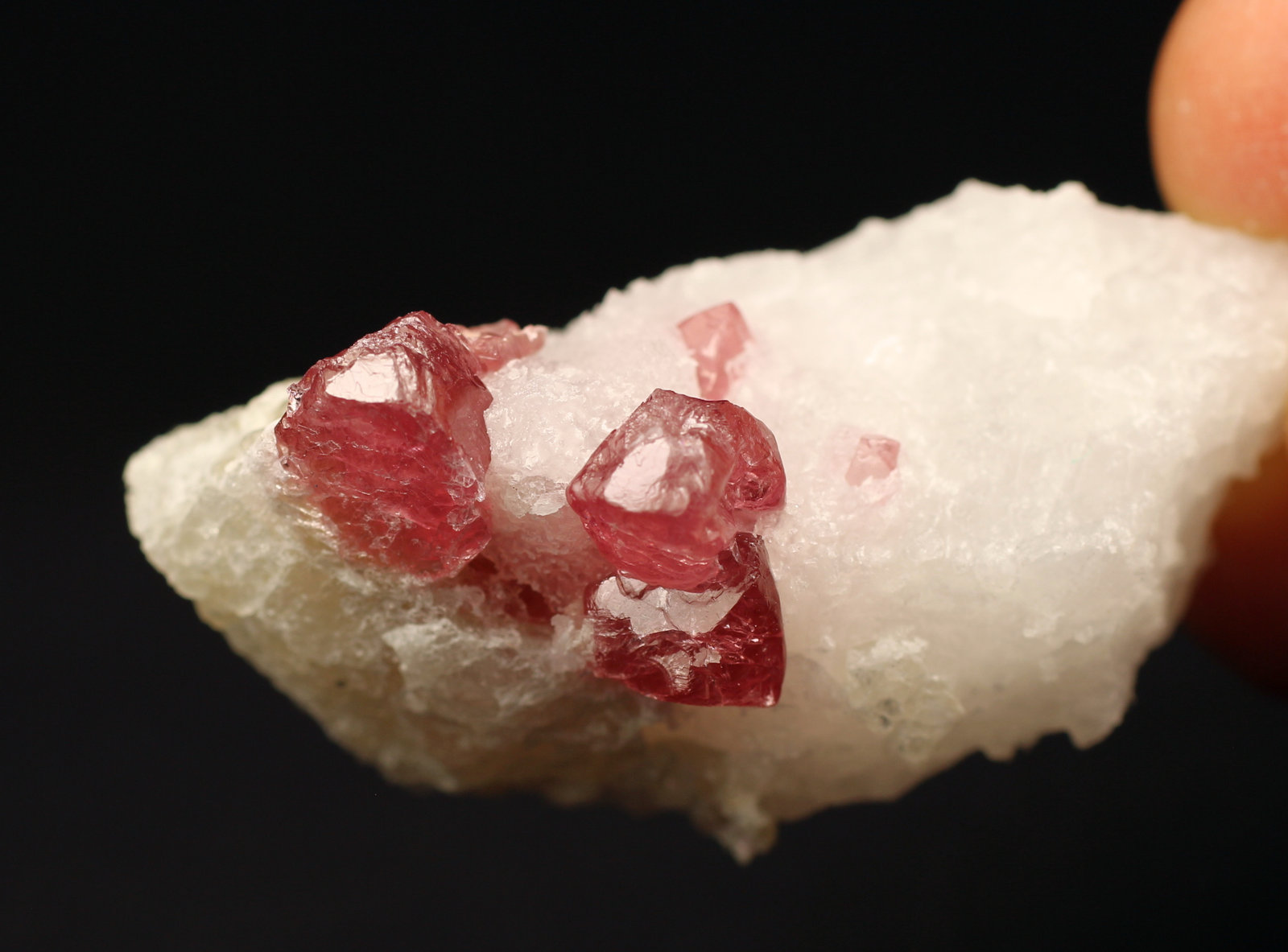 Espinela
4.6 x 2.3 x 2 centimetros
(Autor: Ricardo Melendez)