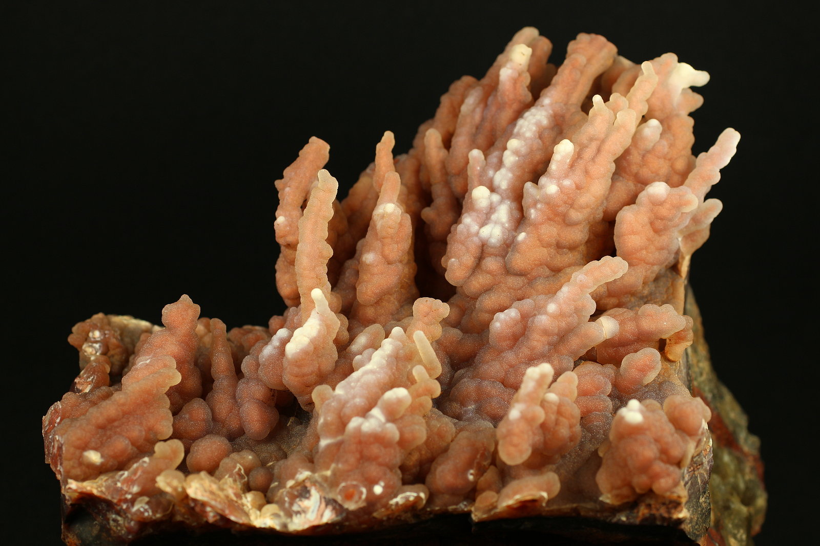 Cuarzo (variedad calcedonia)
16.3 x 12 x 11.8 centimetros
(Autor: Ricardo Melendez)