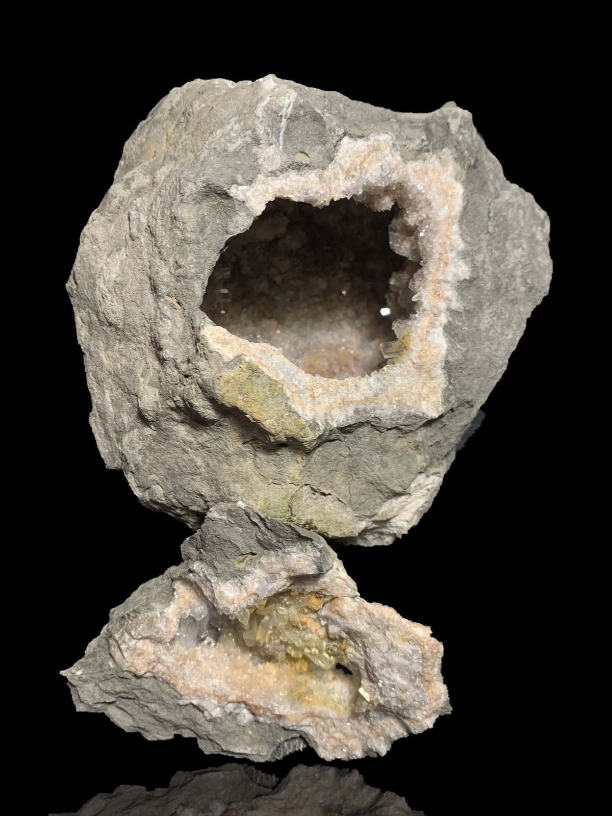 Celestina
16 x 16 cm
(Autor: Pedro FD)