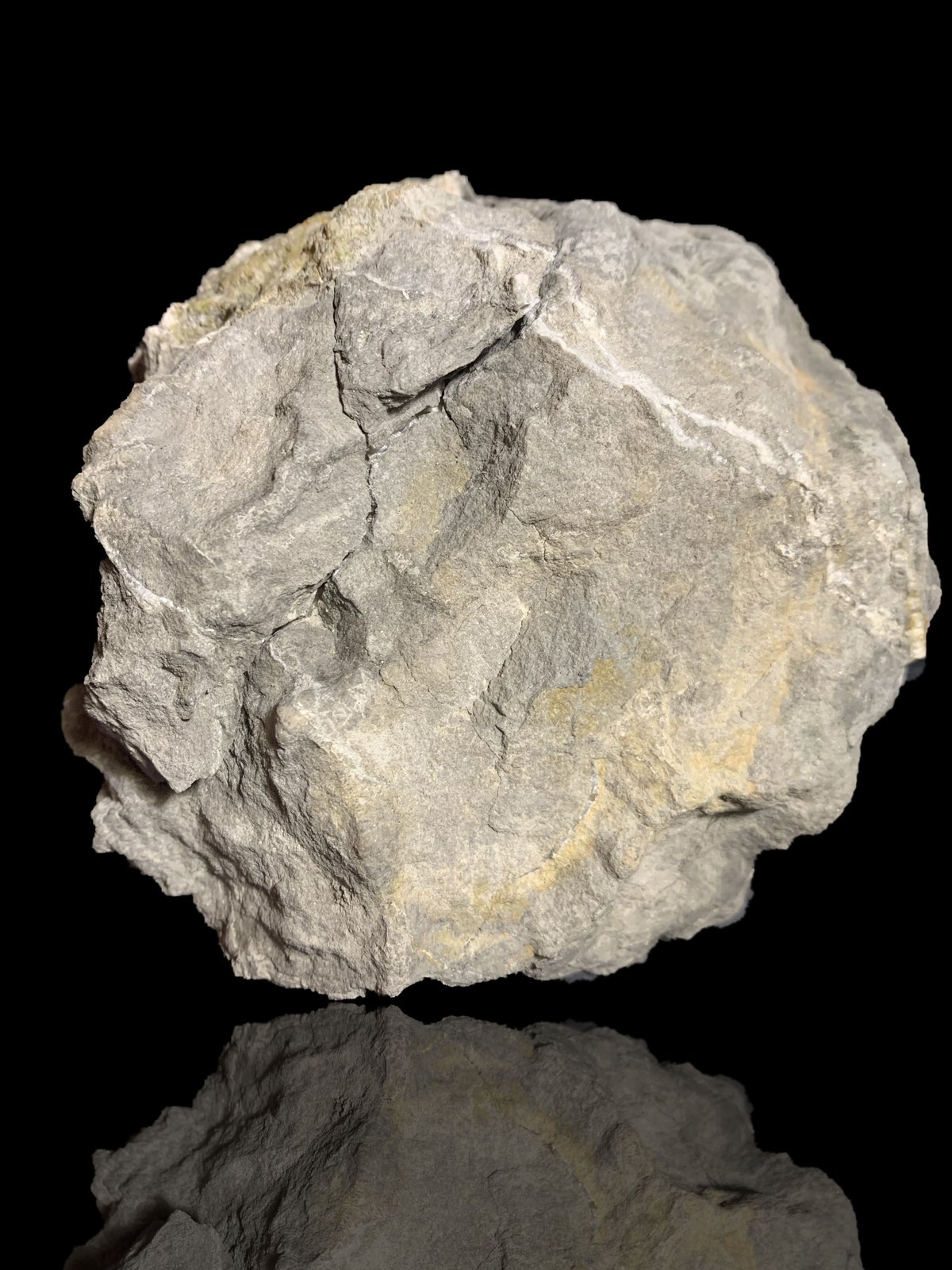 Celestina
16 x 16 cm
(Autor: Pedro FD)