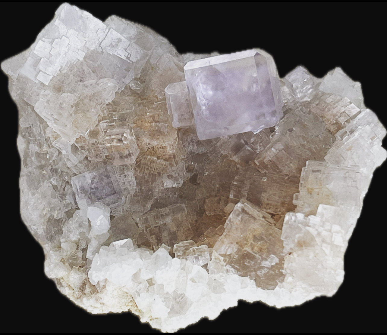 Fluorita
6,5x5cm
(Autor: castrominerals)