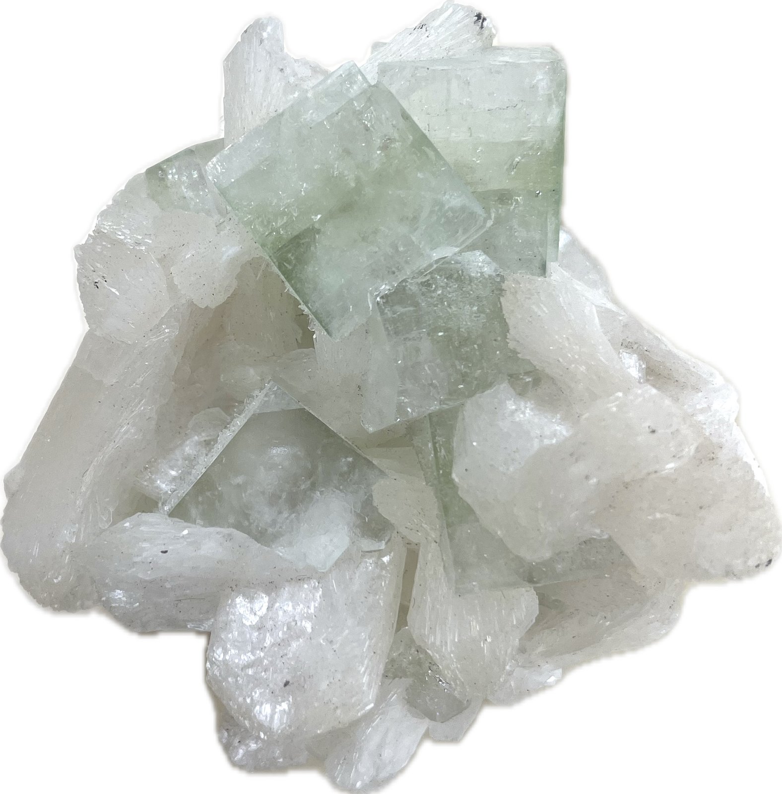 Fluorapofilita-(K) y Estilbita
7x6,5cm
(Autor: castrominerals)