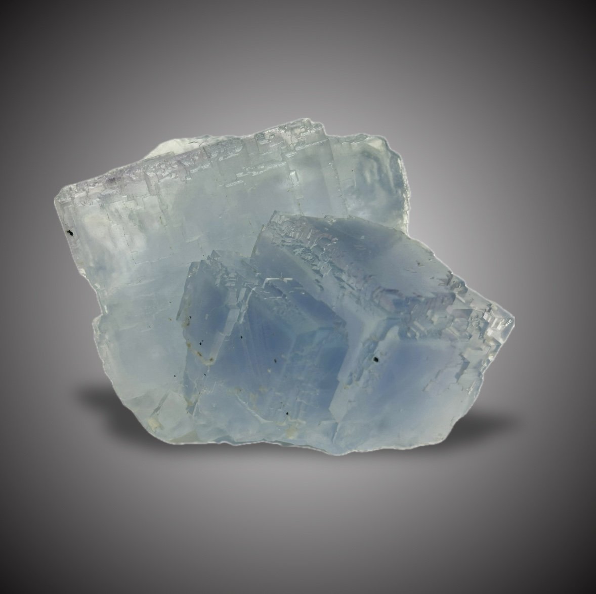 Fluorita
Cristal mayor 5,5 cm
(Autor: castrominerals)