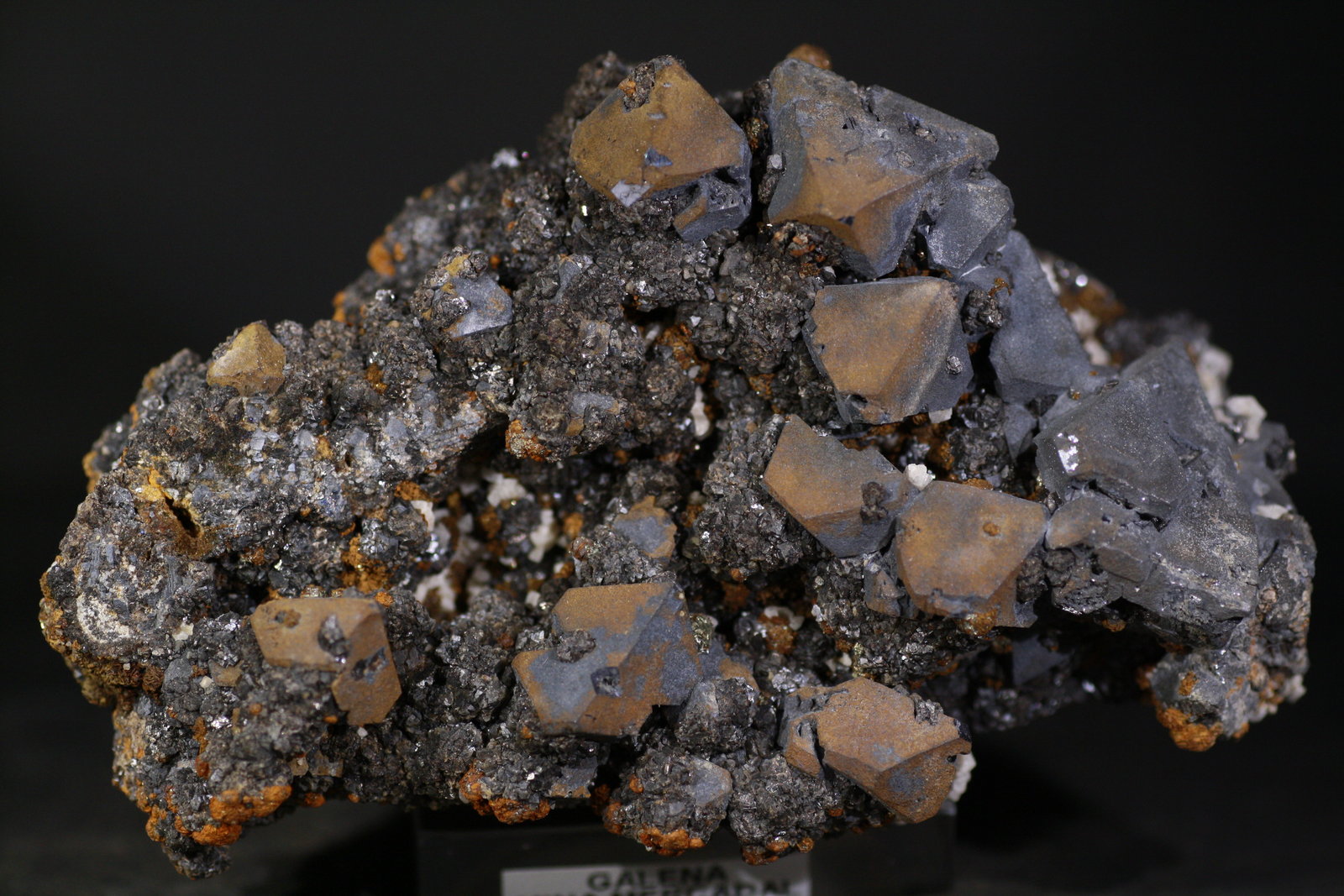 Galena
9x5,5 cm
(Autor: minero1968)
