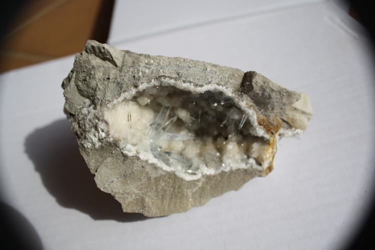Celestina
16 x 10 cm
(Autor: andres codina)