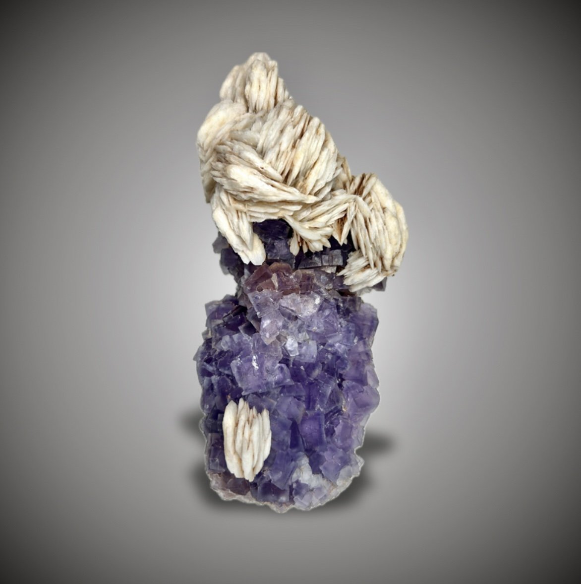Fluorita y Barita
16x8cm.
(Autor: castrominerals)