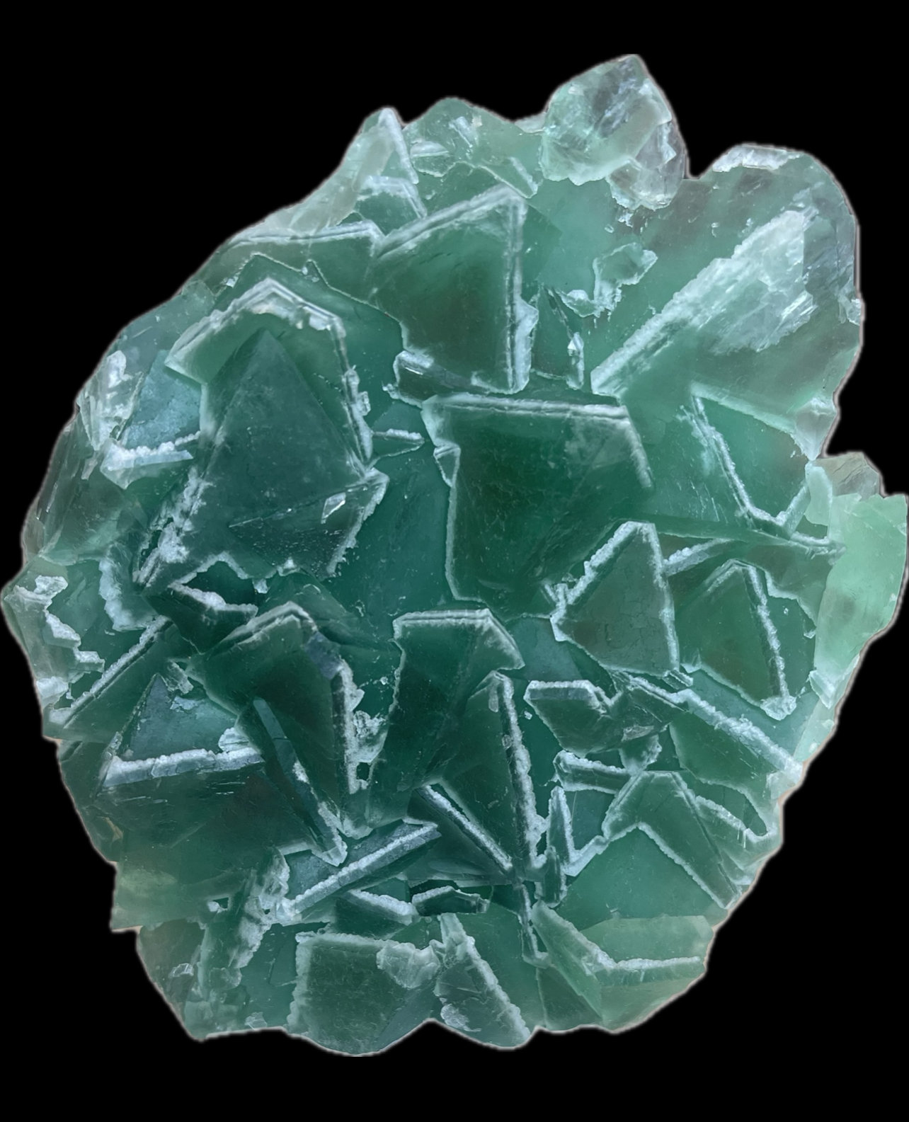 Fluorita
11,5x10,5cm
(Autor: castrominerals)