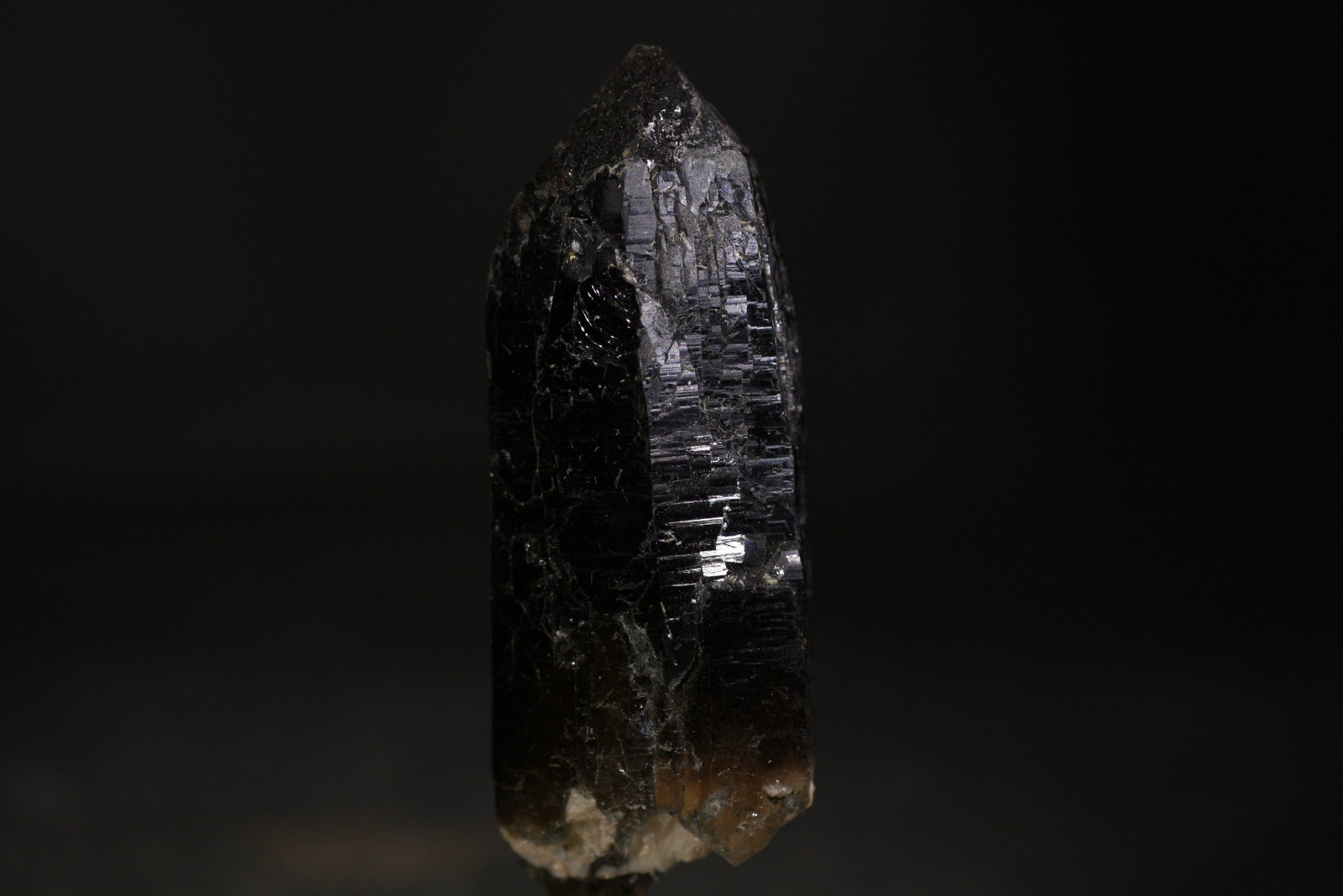 Cuarzo
6,5x2,5 cm
(Autor: minero1968)