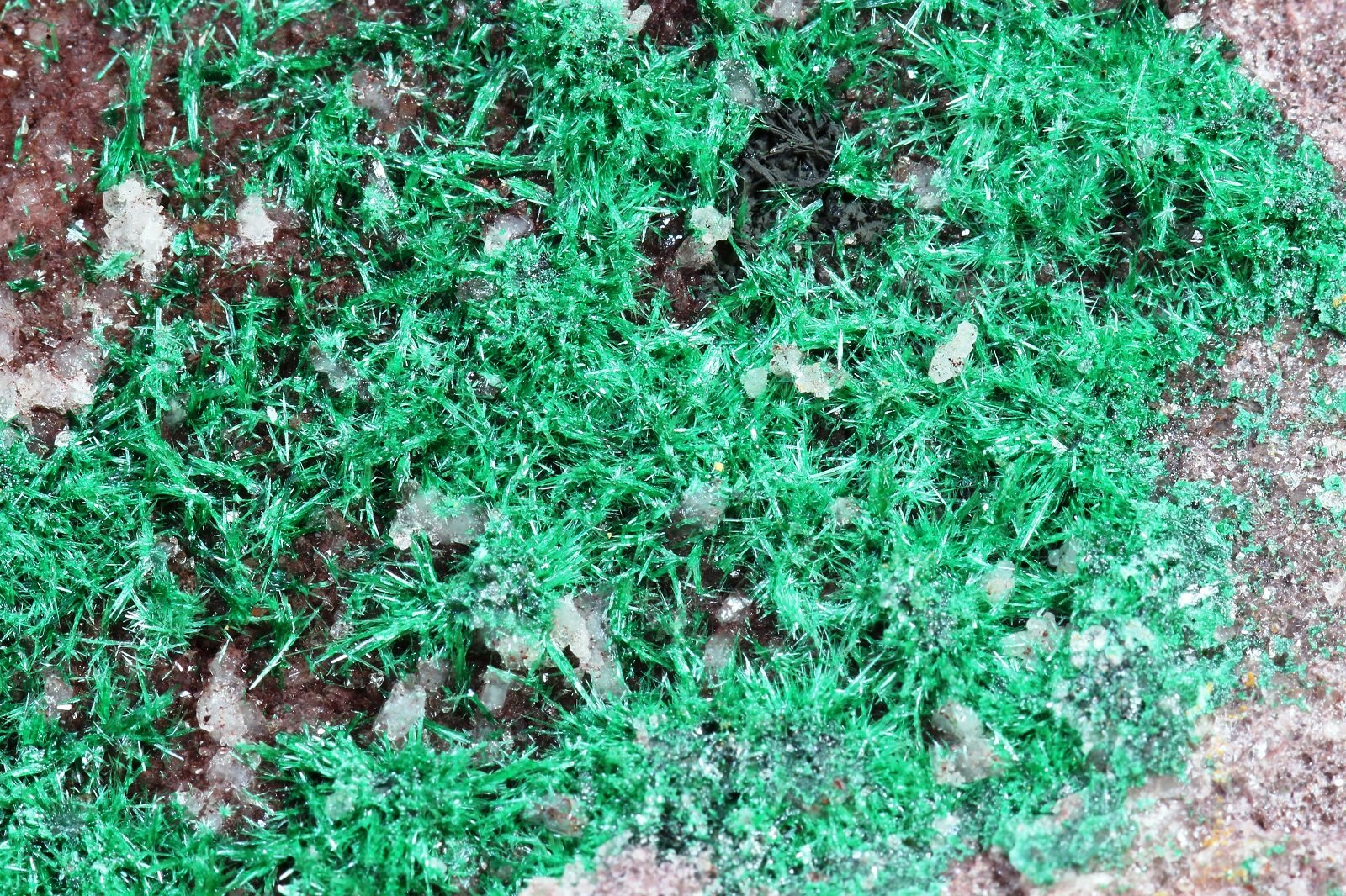 Malaquita
105x75 mm
(Autor: Juan Espino)