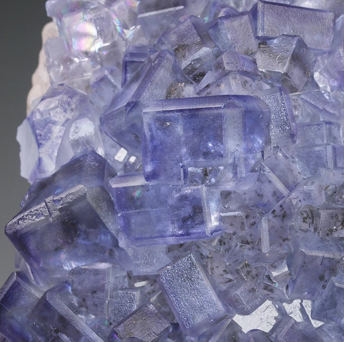 Fluorita
Detalle cristal de 1,2cm
(Autor: castrominerals)