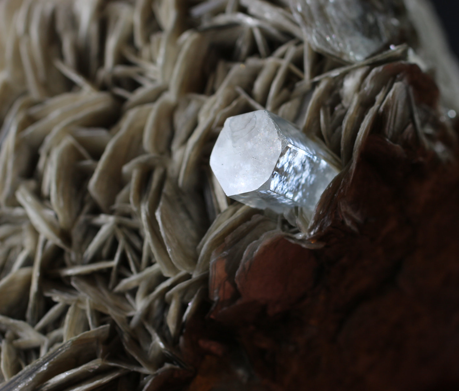 Moscovita y Berilo (variedad aguamarina)
10 x 9 x 3.7 centimetros
(Autor: Ricardo Melendez)
