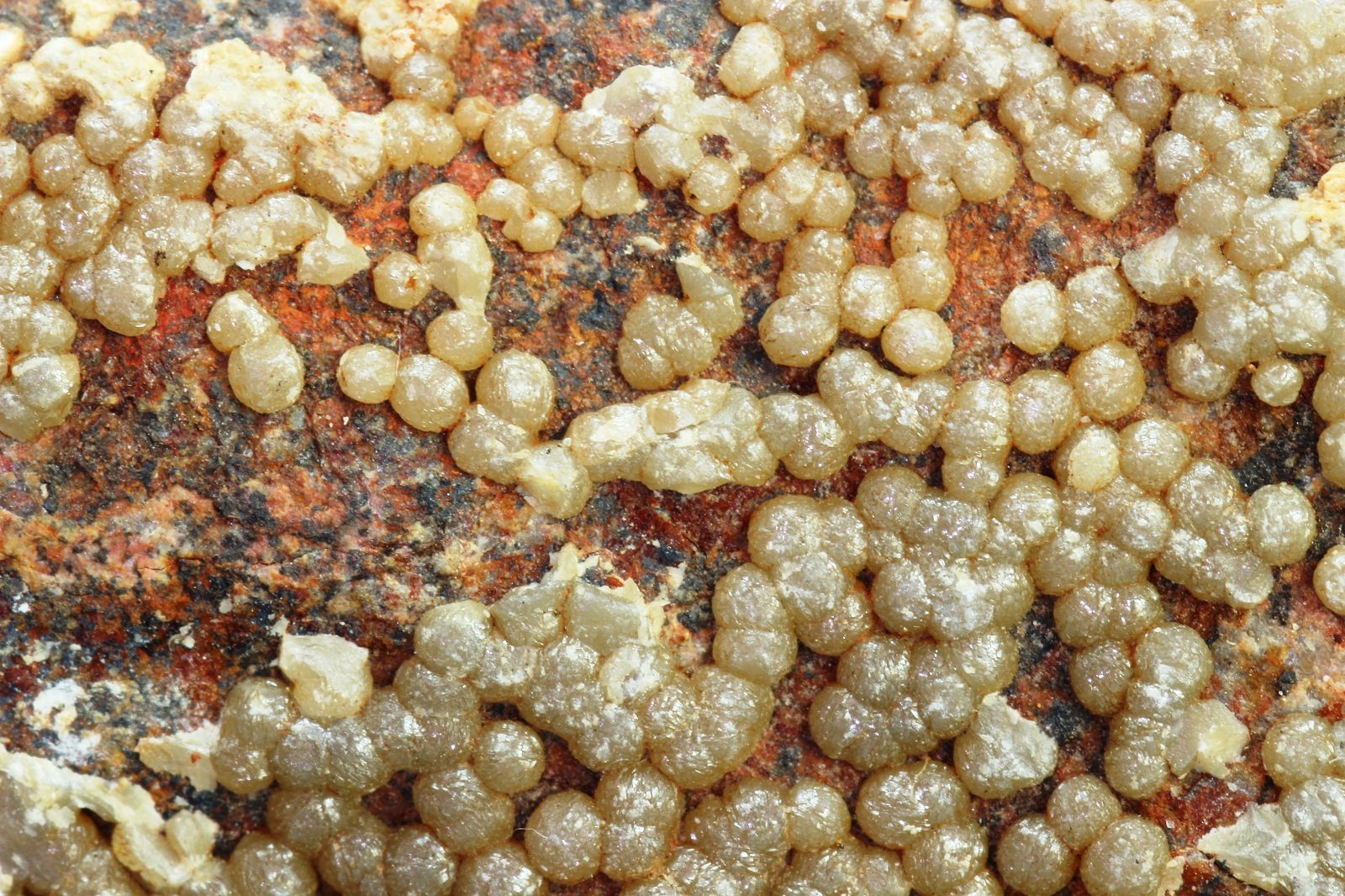 Vanadinita
49x23 mm
(Autor: Juan Espino)