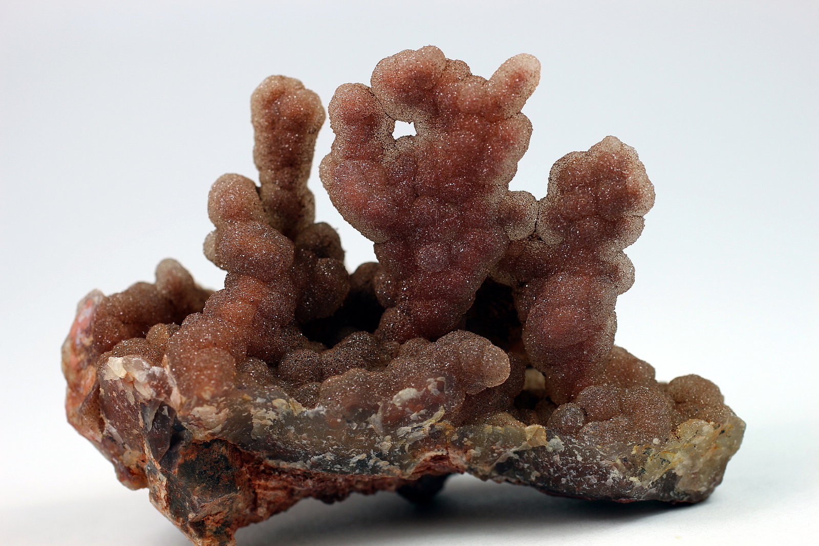 Cuarzo (variedad calcedonia)
6.5 x 3.5 x 4.7 centimetros
(Autor: Ricardo Melendez)