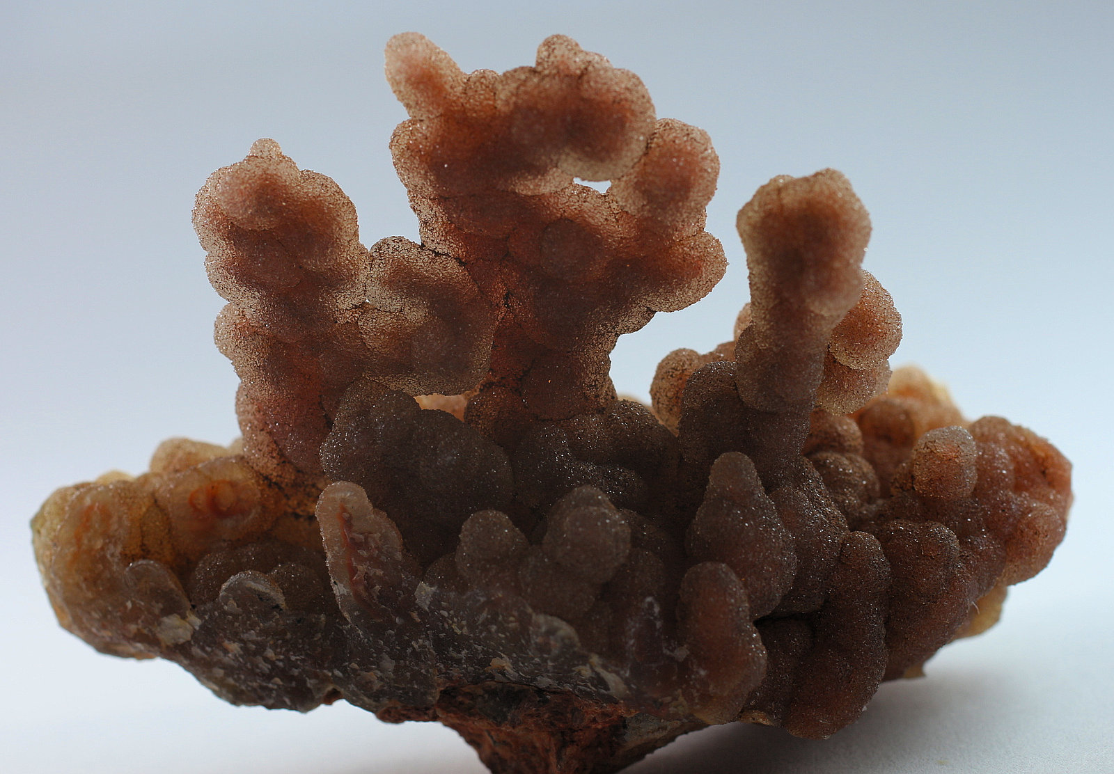 Cuarzo (variedad calcedonia)
6.5 x 3.5 x 4.7 centimetros
(Autor: Ricardo Melendez)