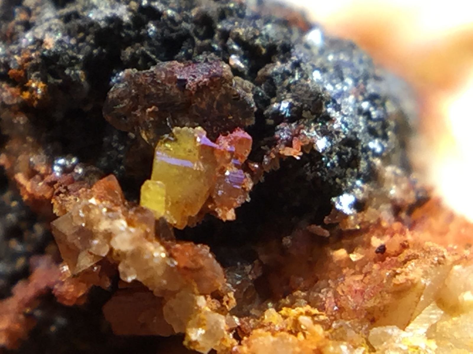 Wulfenita
campo de visión 1 cm
(Autor: Emilio Téllez)