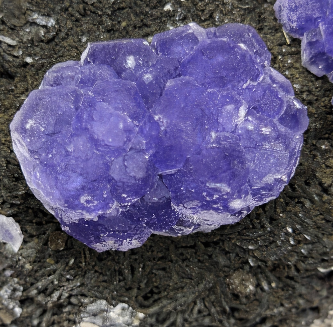 Fluorita y Moscovita
(Autor: castrominerals)