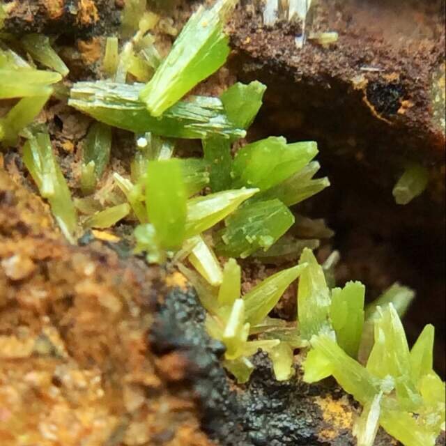 Piromorfita
enfoque 1 x 1 cm
(Autor: Emilio Téllez)