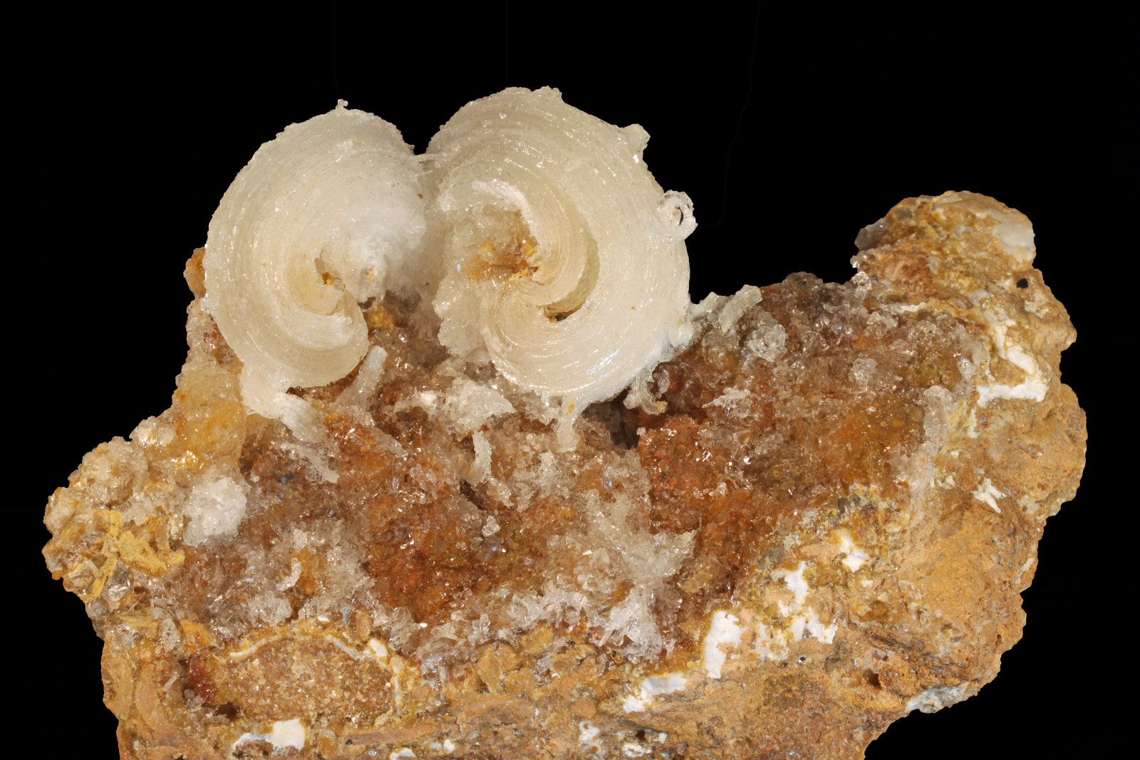 Yeso
115 x 55 mm
(Autor: carles)