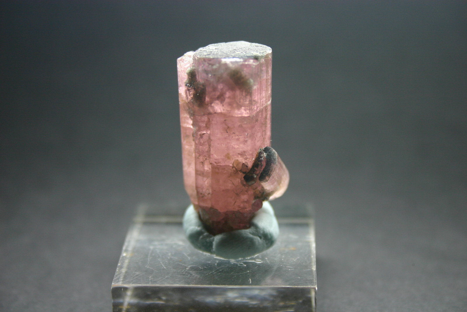 Elbaita (Grupo Turmalina) (variedad rubelita)
17mm - 14mm - 31mm
(Autor: Pedro Naranjo)