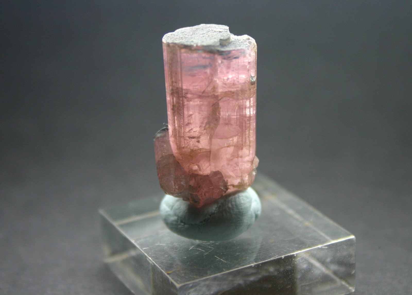 Elbaita (Grupo Turmalina) (variedad rubelita)
17mm - 14mm - 31mm
(Autor: Pedro Naranjo)