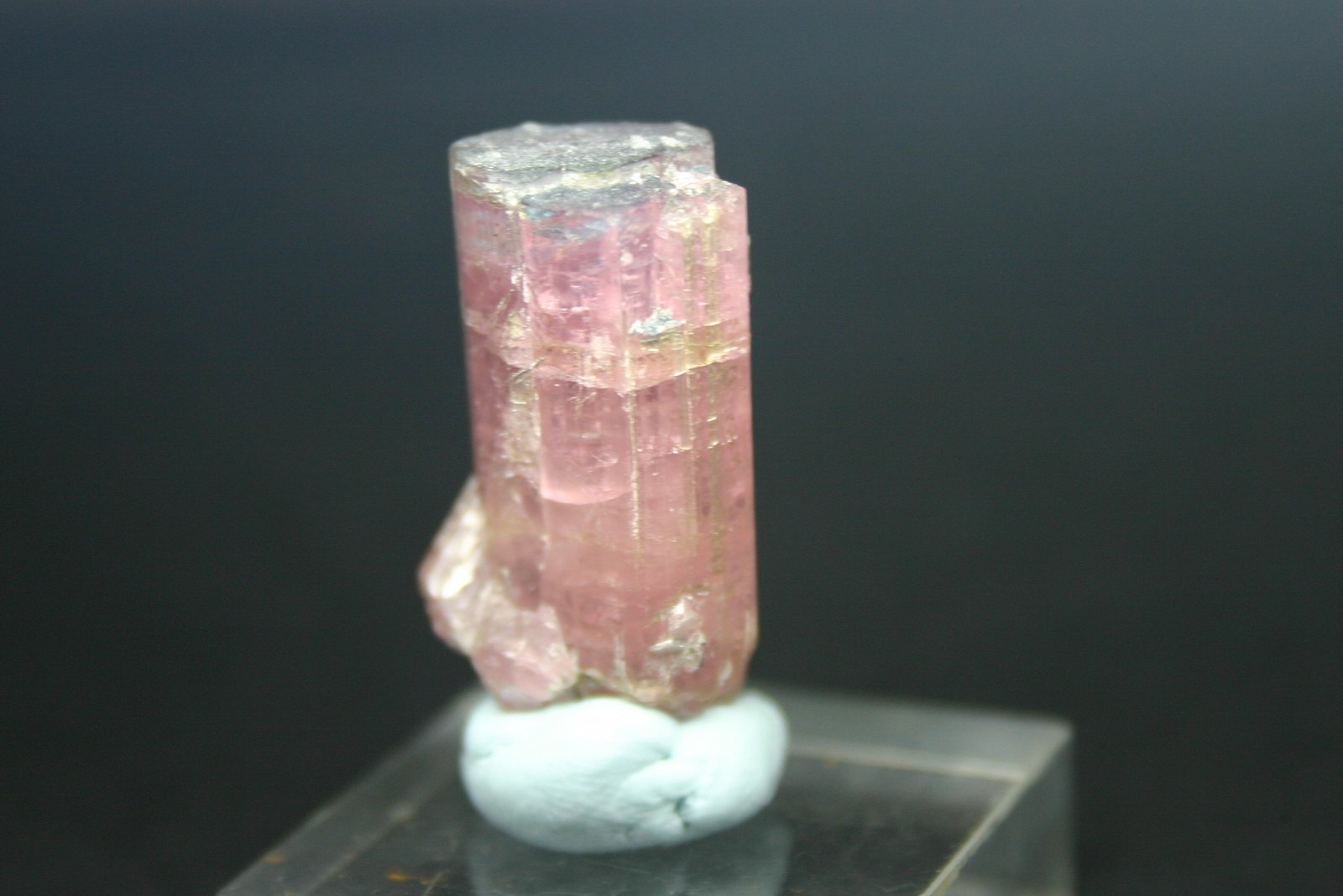 Elbaita (Grupo Turmalina) (variedad rubelita)
17mm - 14mm - 31mm
(Autor: Pedro Naranjo)