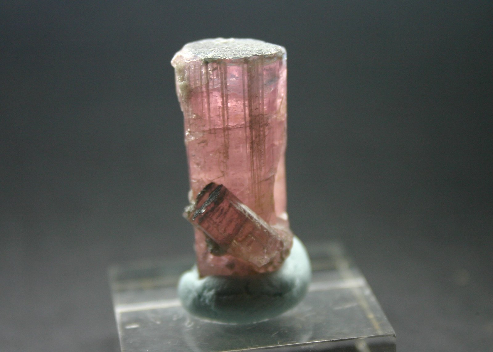Elbaita (Grupo Turmalina) (variedad rubelita)
17mm - 14mm - 31mm
(Autor: Pedro Naranjo)