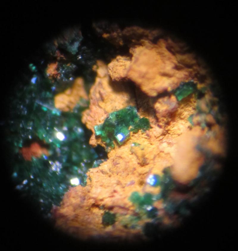 Malaquita.
Campo de visión de unos 3 mm. aprox.
(Autor: Carles Rubio)