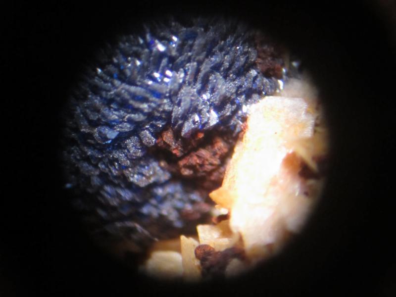 Azurita sobre Barita.
Campo de visión de unos 3 mm. aprox.
(Autor: Carles Rubio)
