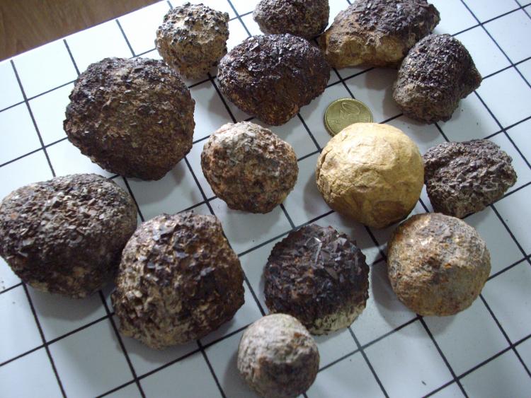Goethita psedomórfica de Pirita
(Autor: dino)