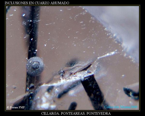 (Autor: Juan de Laureano)