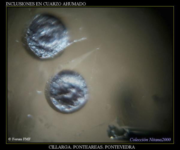 (Autor: Juan de Laureano)