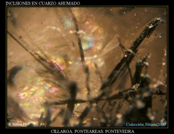 (Autor: Juan de Laureano)