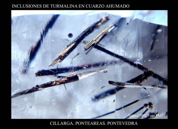 (Autor: Juan de Laureano)