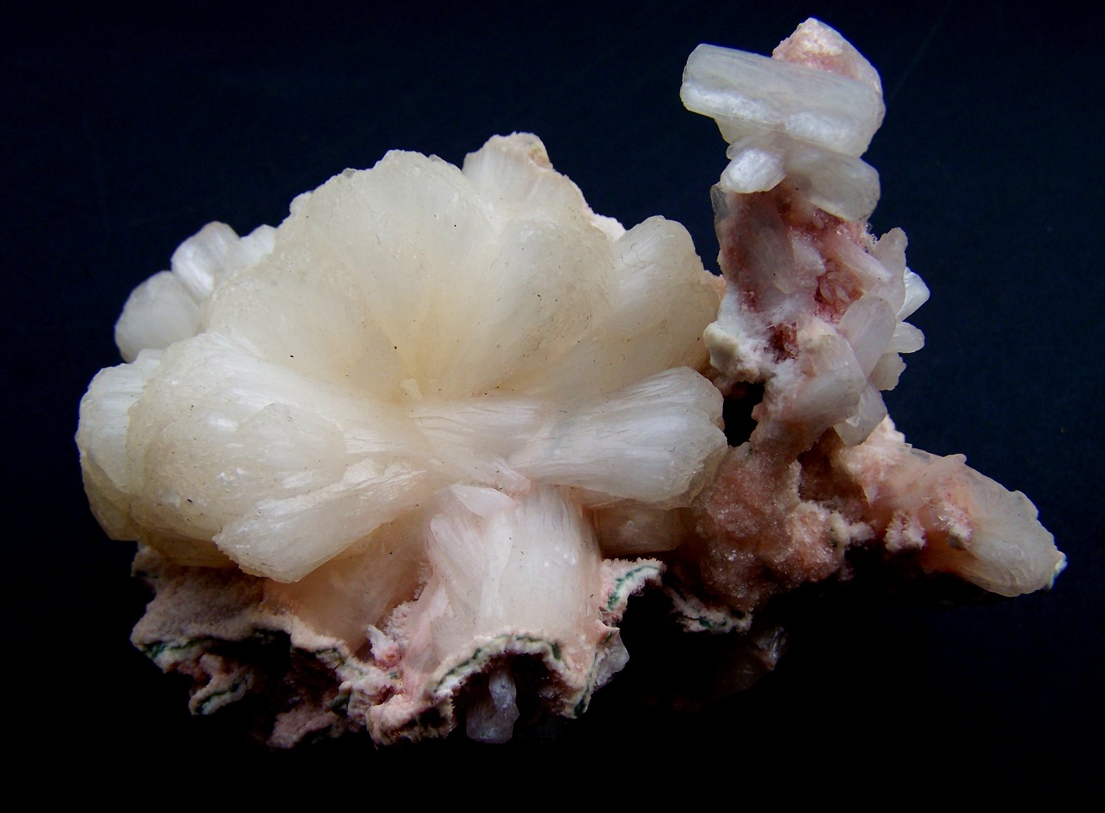 Estilbita-Ca
12cm por 12cm
(Autor: canada)