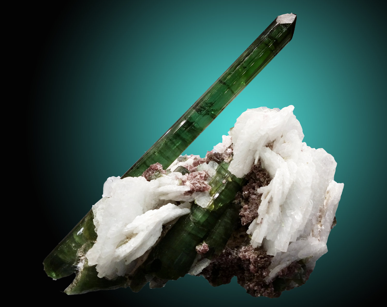Turmalina, albita, lepidolita
16x14cm, cristal de 14cm
(Autor: Raul Vancouver)