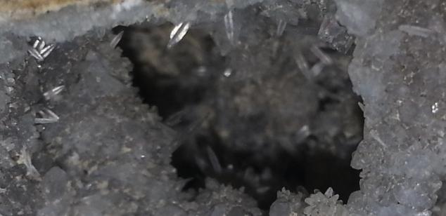 Celestina
Detalle de la pieza anterior
(Autor: Javier Garcia Canals)
