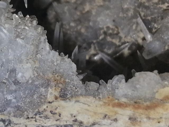 Celestina
Detalle de la pieza anterior
(Autor: Javier Garcia Canals)