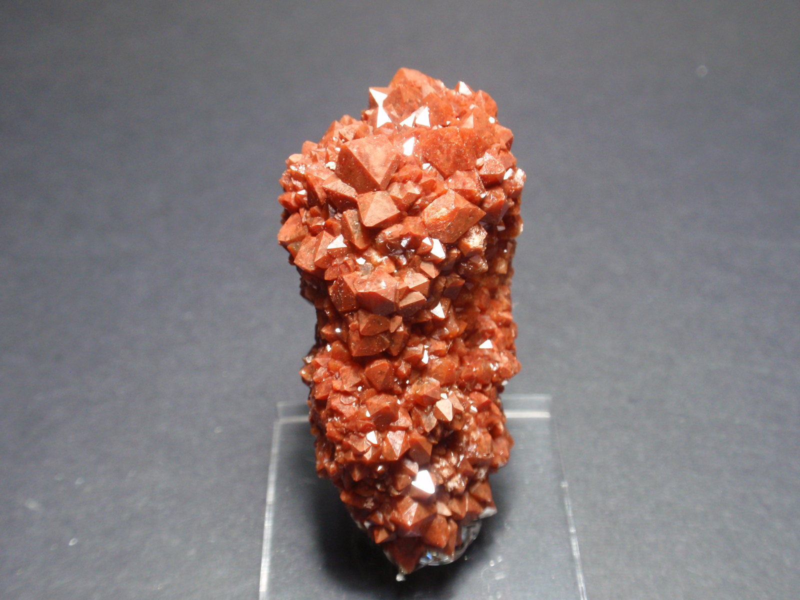 Cuarzo (variedad hematoideo)
25x40 mm
(Autor: Ignacio)