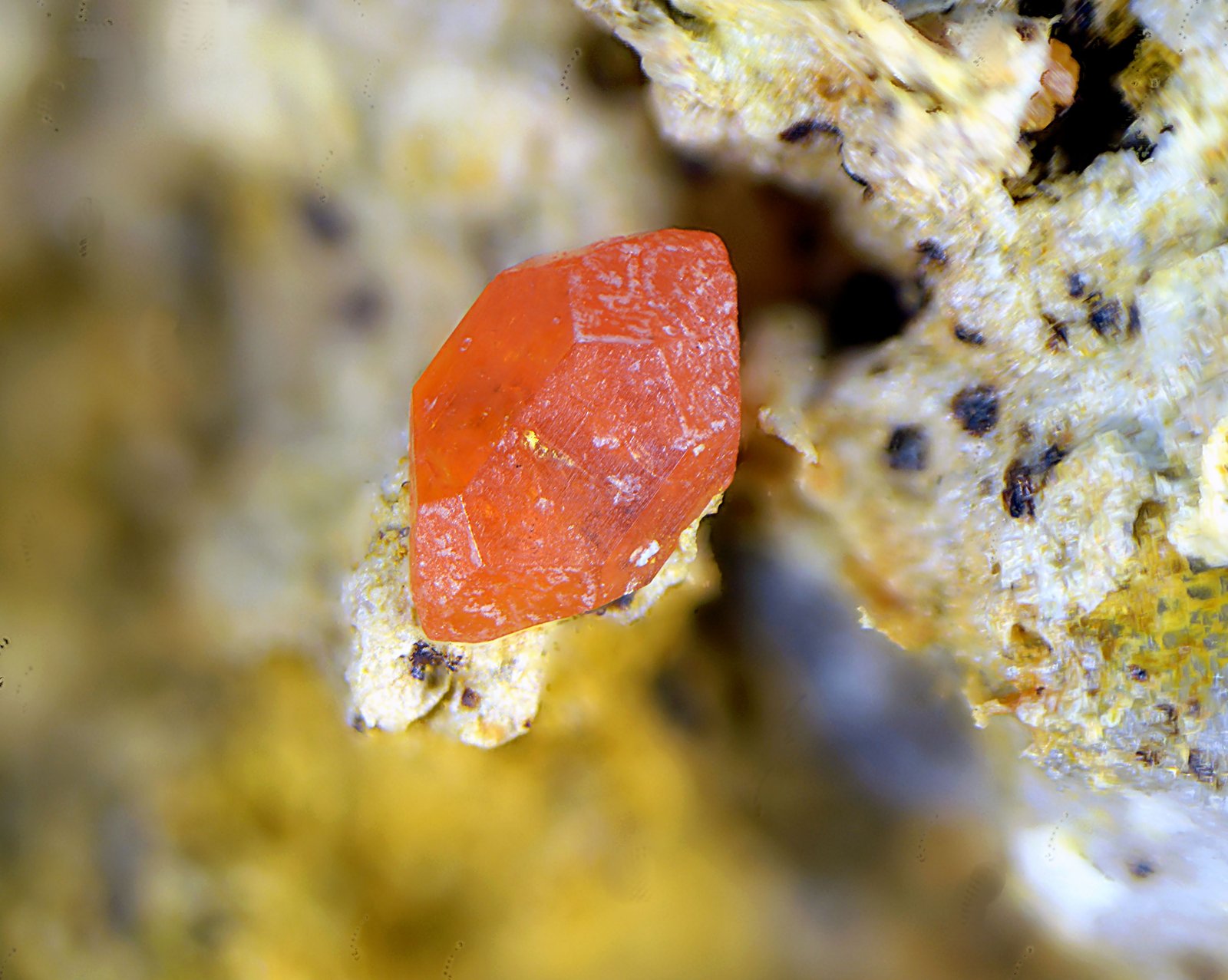 Vanadinita
Campo de visión de 1,5 mm
(Autor: Antonio Carmona)