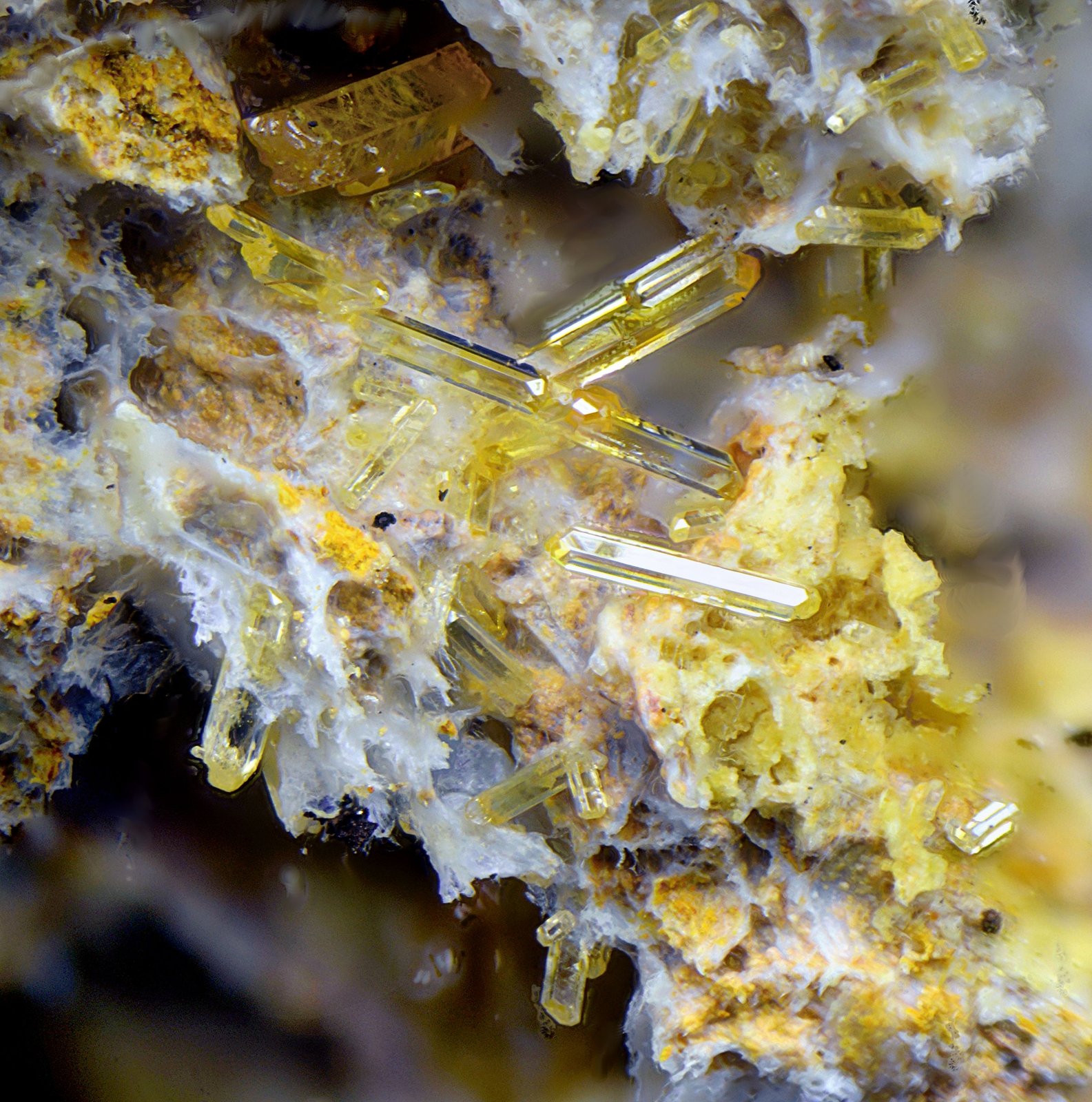 Vanadinita
Campo de visión de 2 mm
(Autor: Antonio Carmona)
