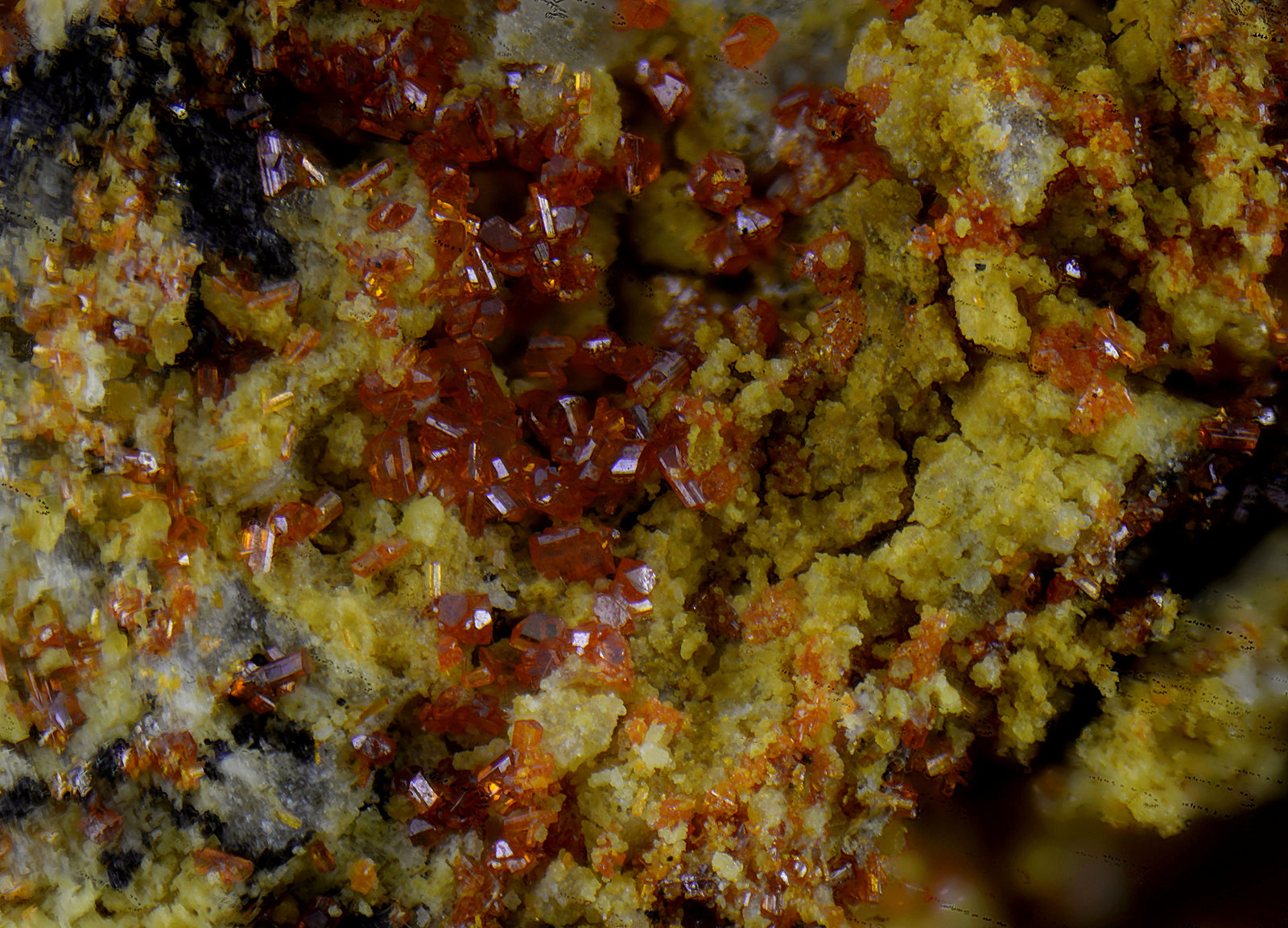 Calderonita
Campo de visión de 1 mm
(Autor: Antonio Carmona)