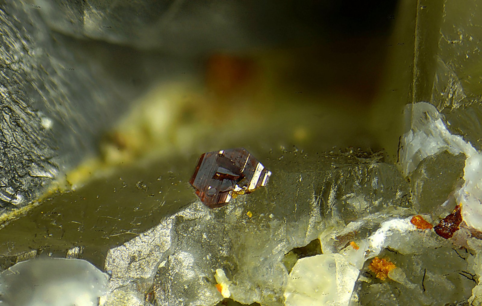 Calderonita
Campo de visión de 2,5 mm
(Autor: Antonio Carmona)
