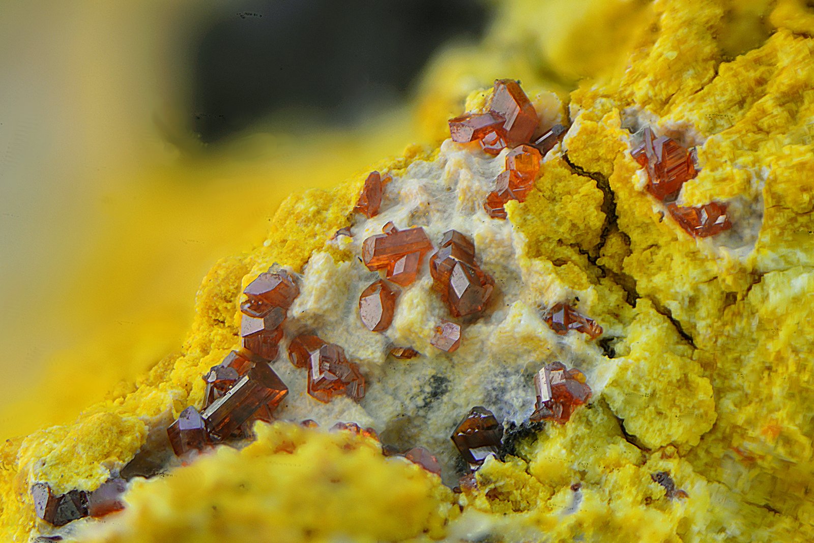 Calderonita
Campo de visión de 3 mm.
(Autor: Antonio Carmona)