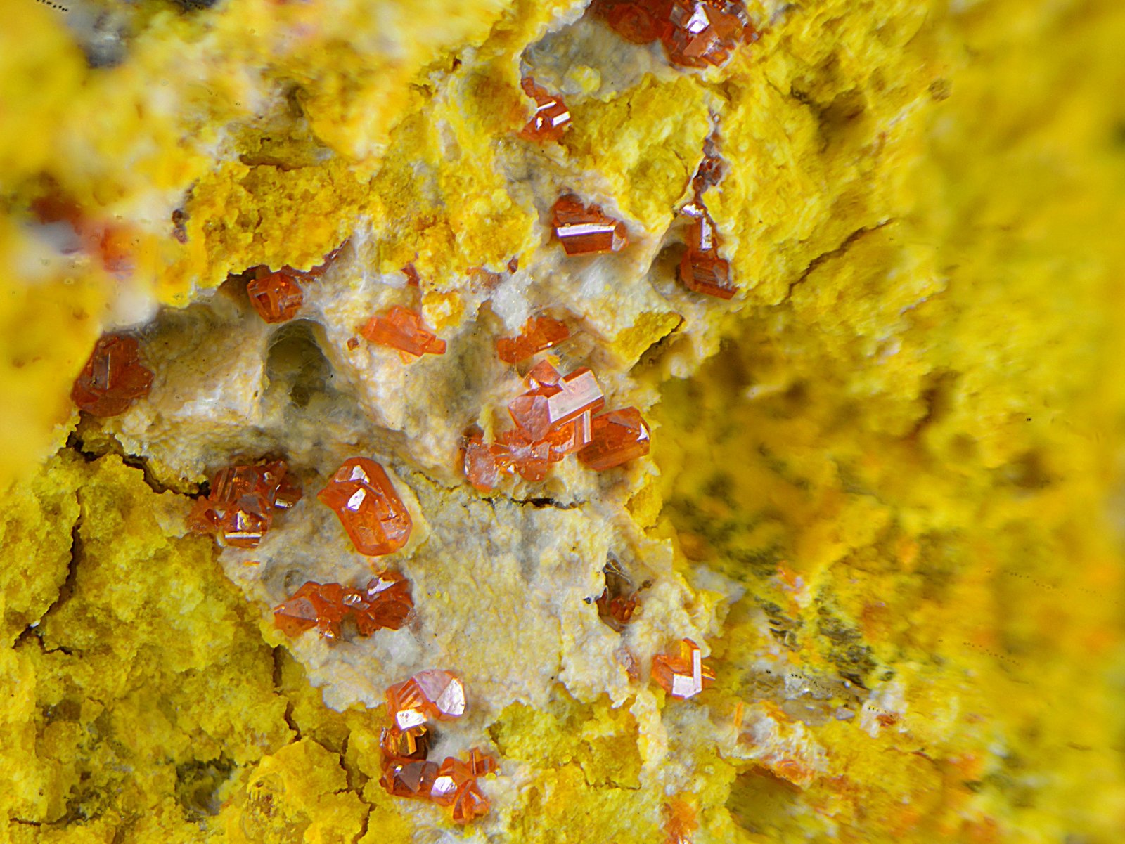 Calderonita
Campo de visión de 3 mm.
(Autor: Antonio Carmona)