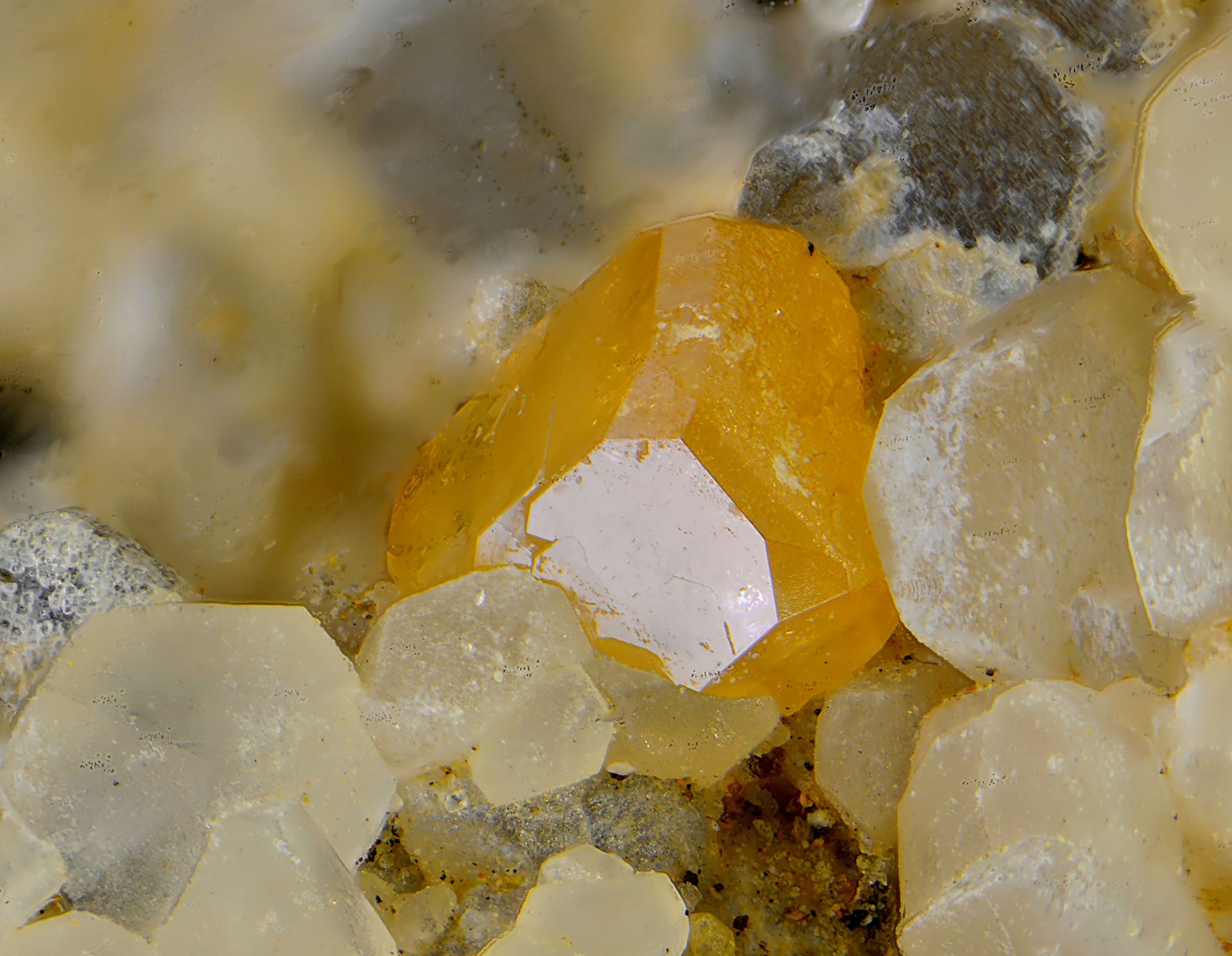 Vanadinita
Campo de visión de 2 mm
(Autor: Antonio Carmona)