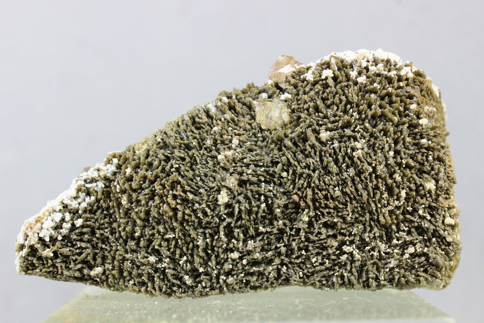 Johannsenita
50x30 mm
(Autor: Juan Espino)