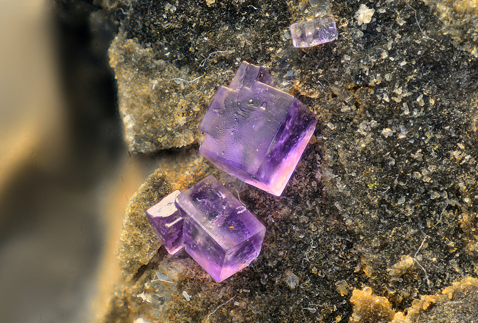 Fluorita
Campo de visión de 7 mm
(Autor: Antonio Carmona)