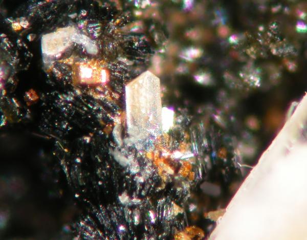Kainosita-(Y)
Campo de visión 0.5 mm
(Autor: Cesar M. Salvan)