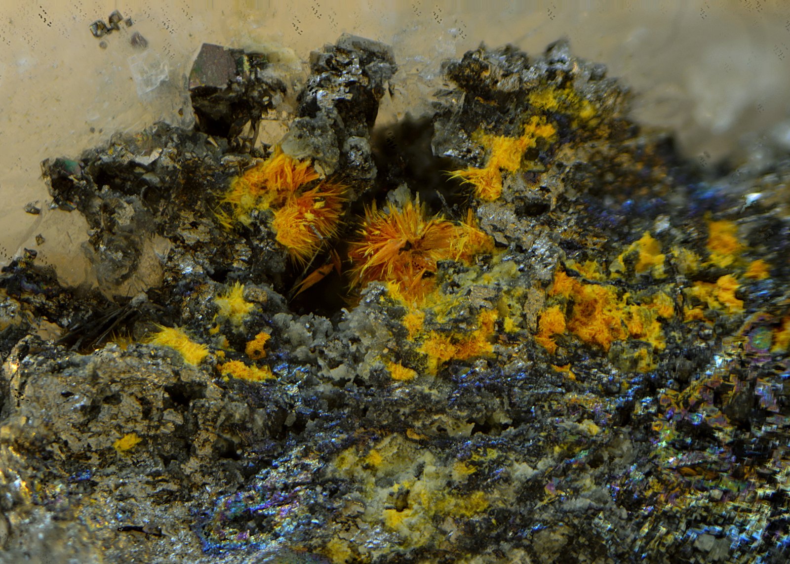 Karibibita sobre Löllingita
Campo de visión de 6 mm.
(Autor: Antonio Carmona)