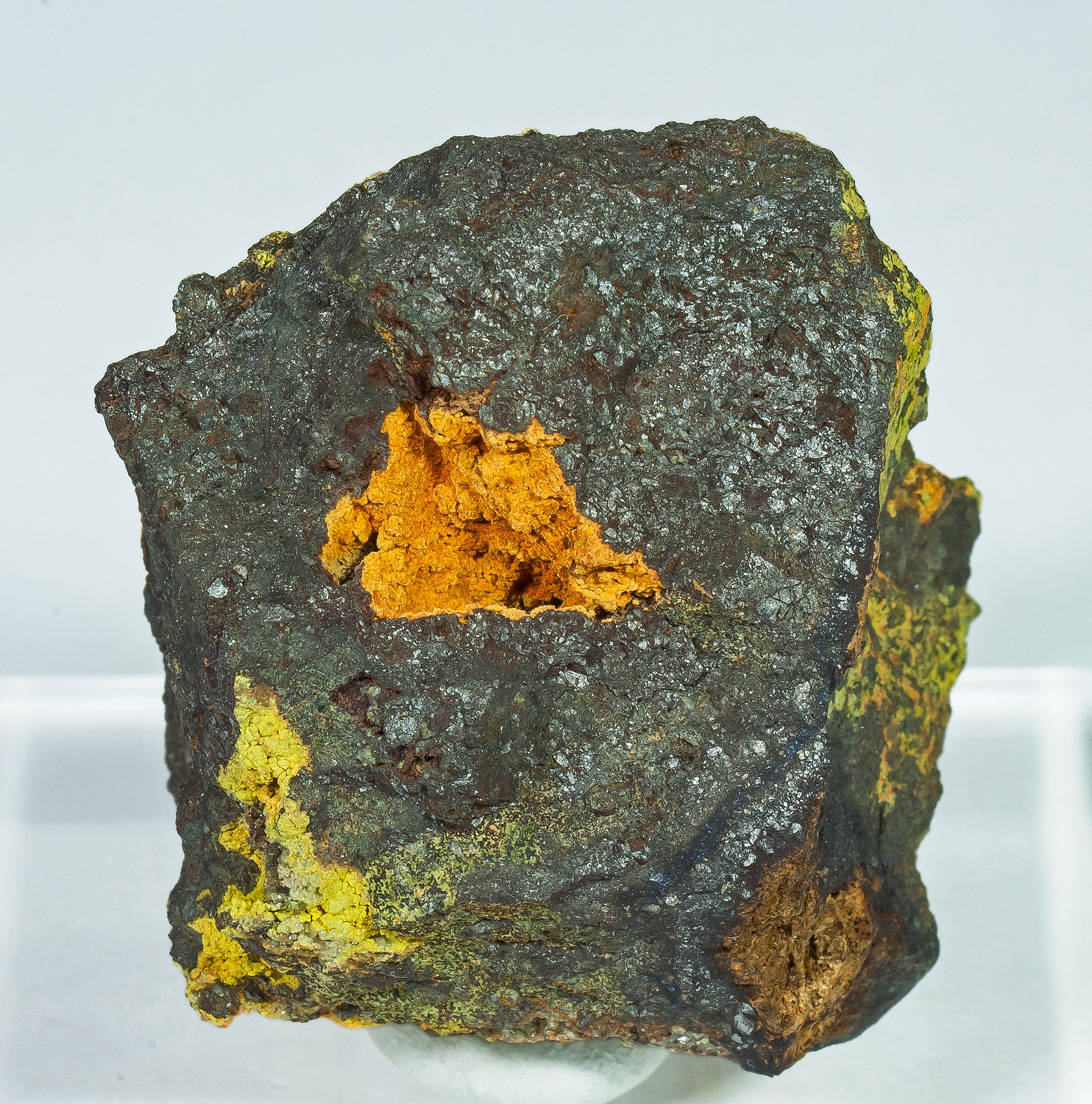 Karibibita
5.2 × 2.9 × 3.4 cm
(Autor: Jordi Fabre)